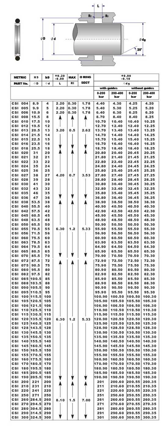 csi seal diagram and sizes