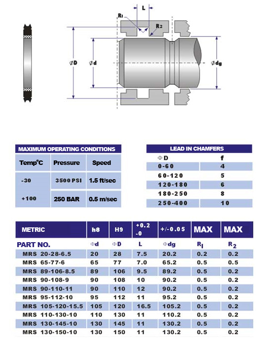 rbs seal diagram and sizes